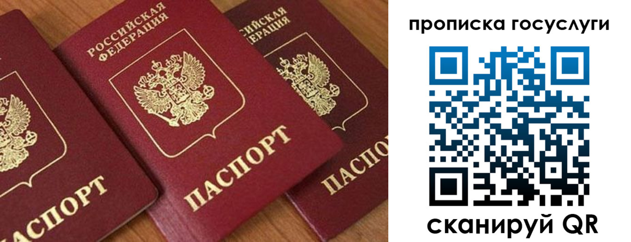 временная прописка в Гусеве